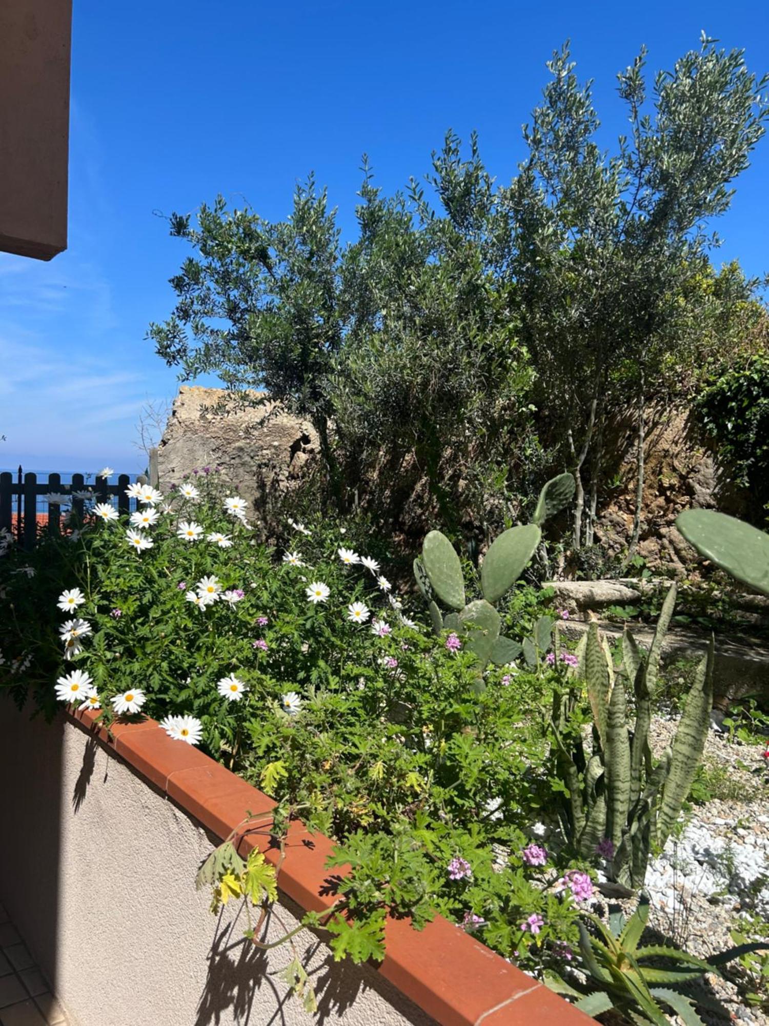 Arcobaleno Tropea Centro Bed and Breakfast Eksteriør billede